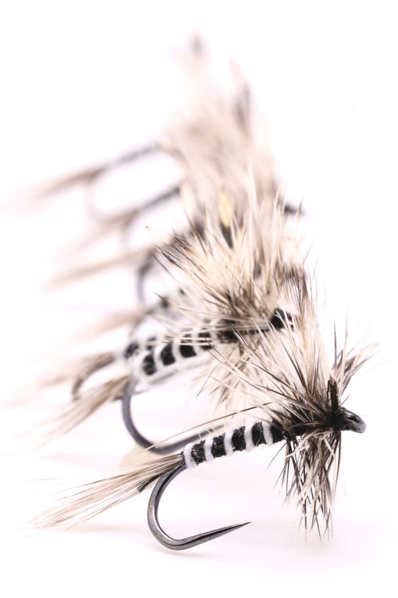 Mosquito