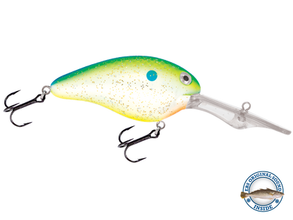Dive Master 20
