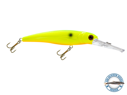 Voyager 15 Walleye