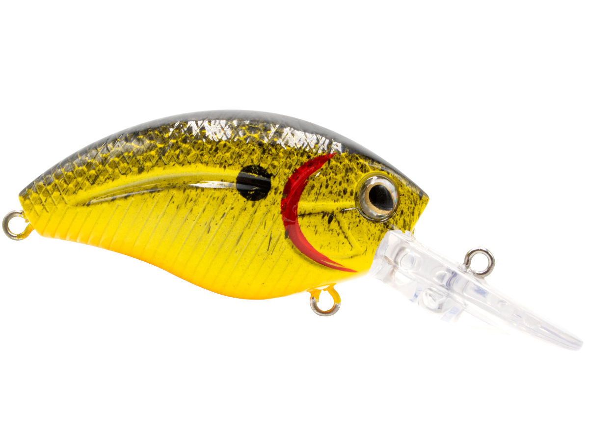 Howeller DMC Jr.