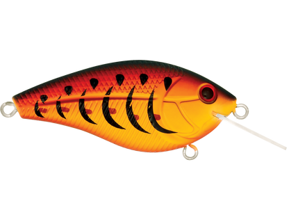 Primetyme CB 1.5