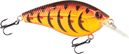 Primetyme CB 1.5