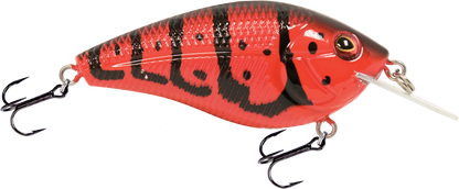 Primetyme CB 1.5