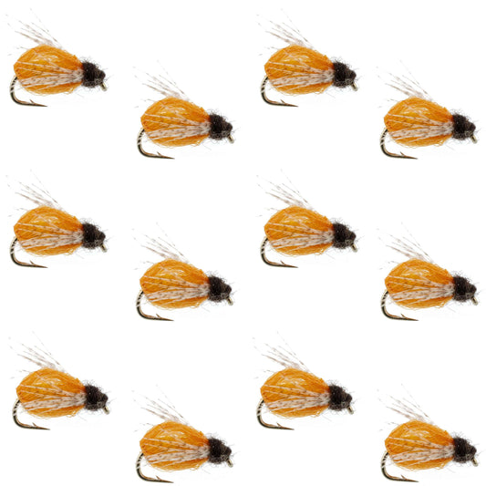 LaFontaine Amber Deep Sparkle Caddis Pupa - 1 Dozen Flies Hook Size 12