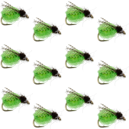 LaFontaine Bright Green Deep Sparkle Caddis Pupa - 1 Dozen Flies Hook Size 14
