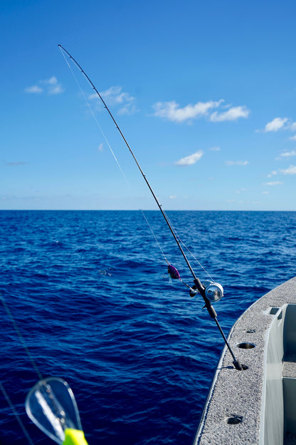 Vibe Series Slow Pitch Jigging Rods
