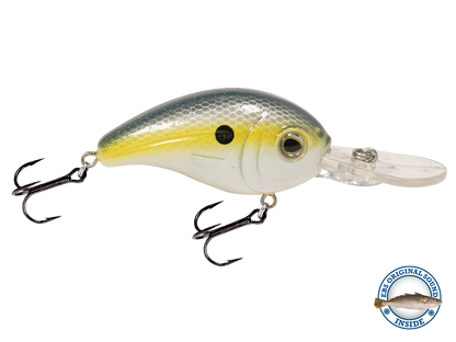 Dive Master Jr 8
