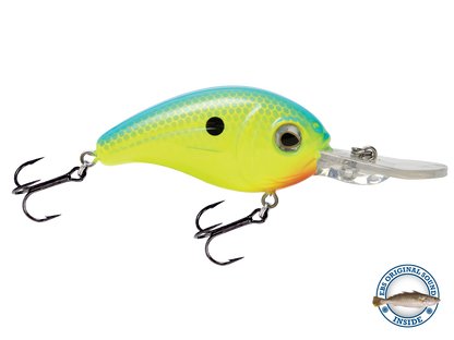 Dive Master Jr 8