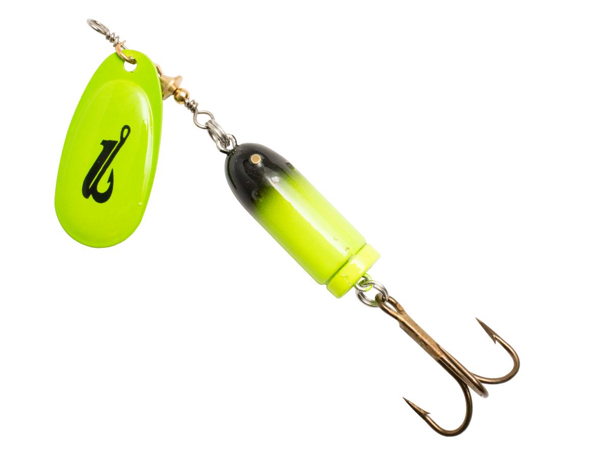 EBS Spinner 50