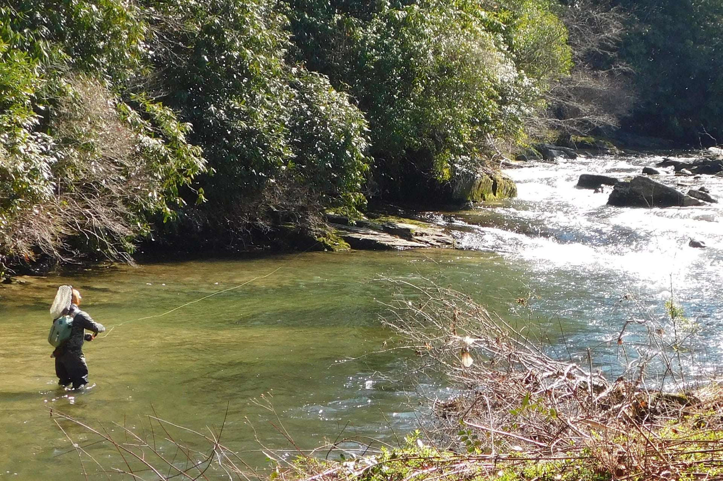 Bead Head LaFontaine Bright Green Deep Sparkle Caddis Pupa - 6 Flies Hook Size 18
