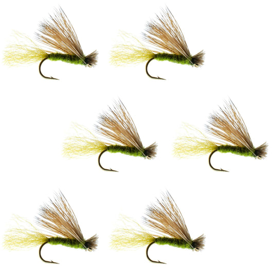 Barbless Olive X Caddis Emerging Caddis Adult Fly - 6 Flies Size 14