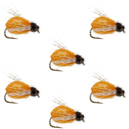 LaFontaine Amber Deep Sparkle Caddis Pupa - 6 Flies Hook Size 18