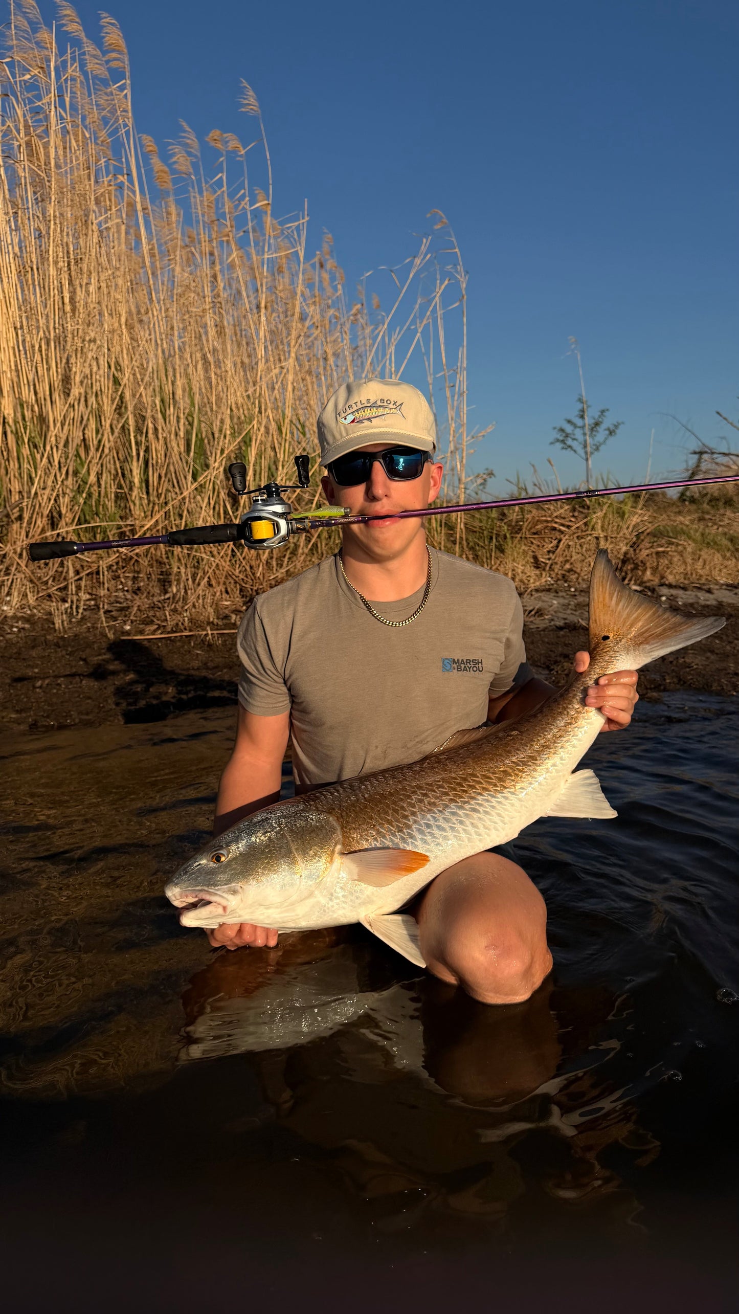 Lagniappe Series Rods