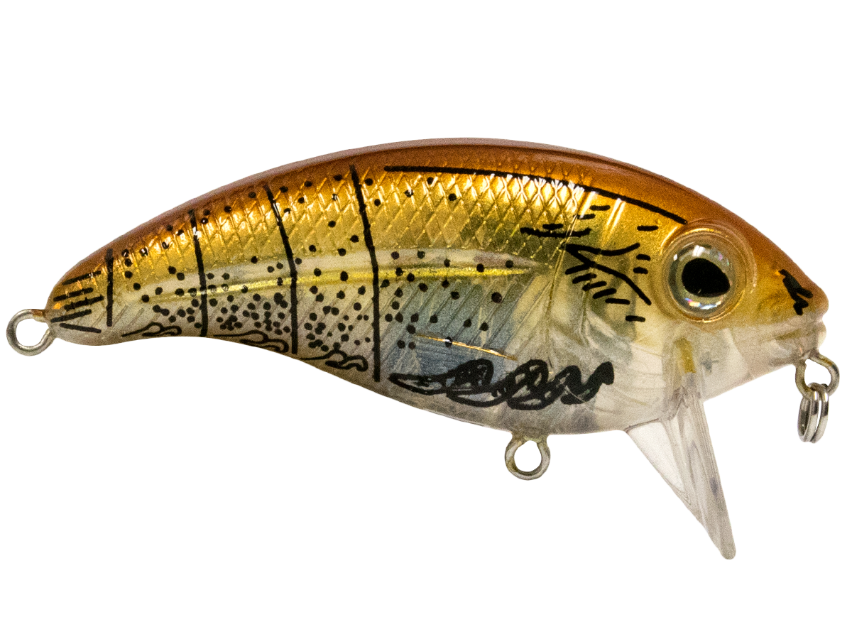 Bull Nose