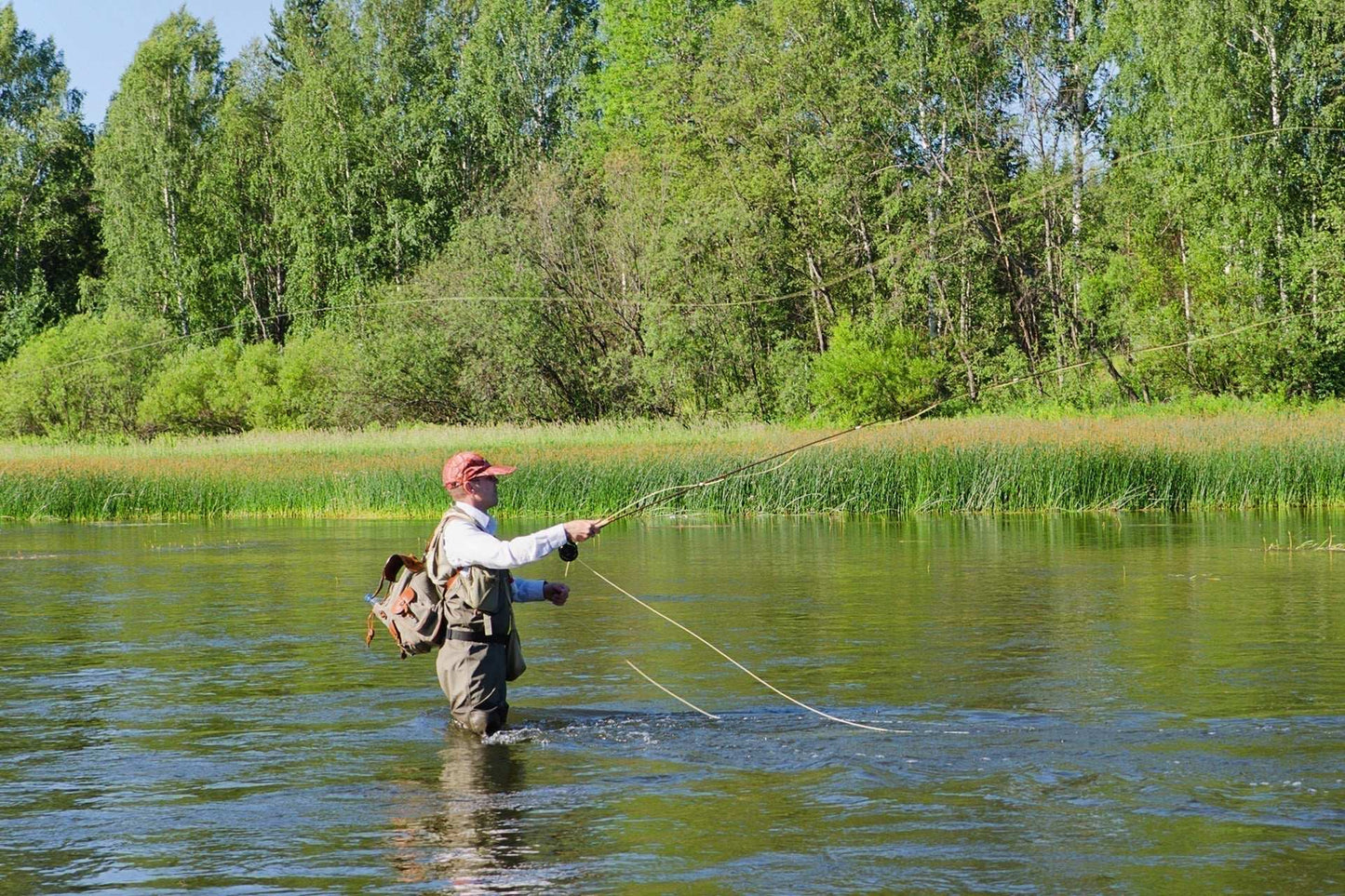 3 Pack CDC Baetis Emerger BWO Wet Fly Fishing Flies - Hook Size 20
