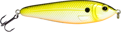 EBS Jigging Spoon