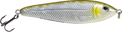 EBS Jigging Spoon