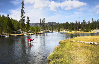 CDC Baetis Emerger BWO Wet Fly Fishing Flies - 1 Dozen Flies Hook Size 16