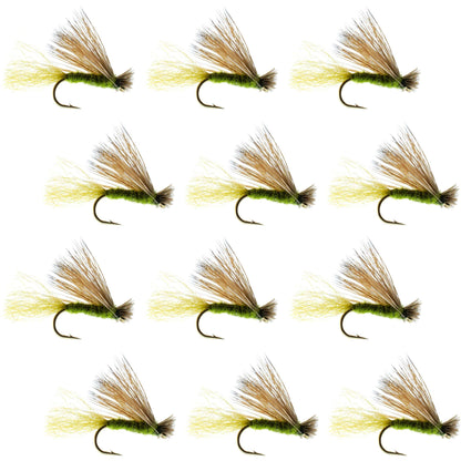 Barbless Olive X Caddis Emerging Caddis Adult Fly - 12 Flies Size 14