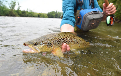 Red Quill Classic Dry Fly - 6 Flies Size 18