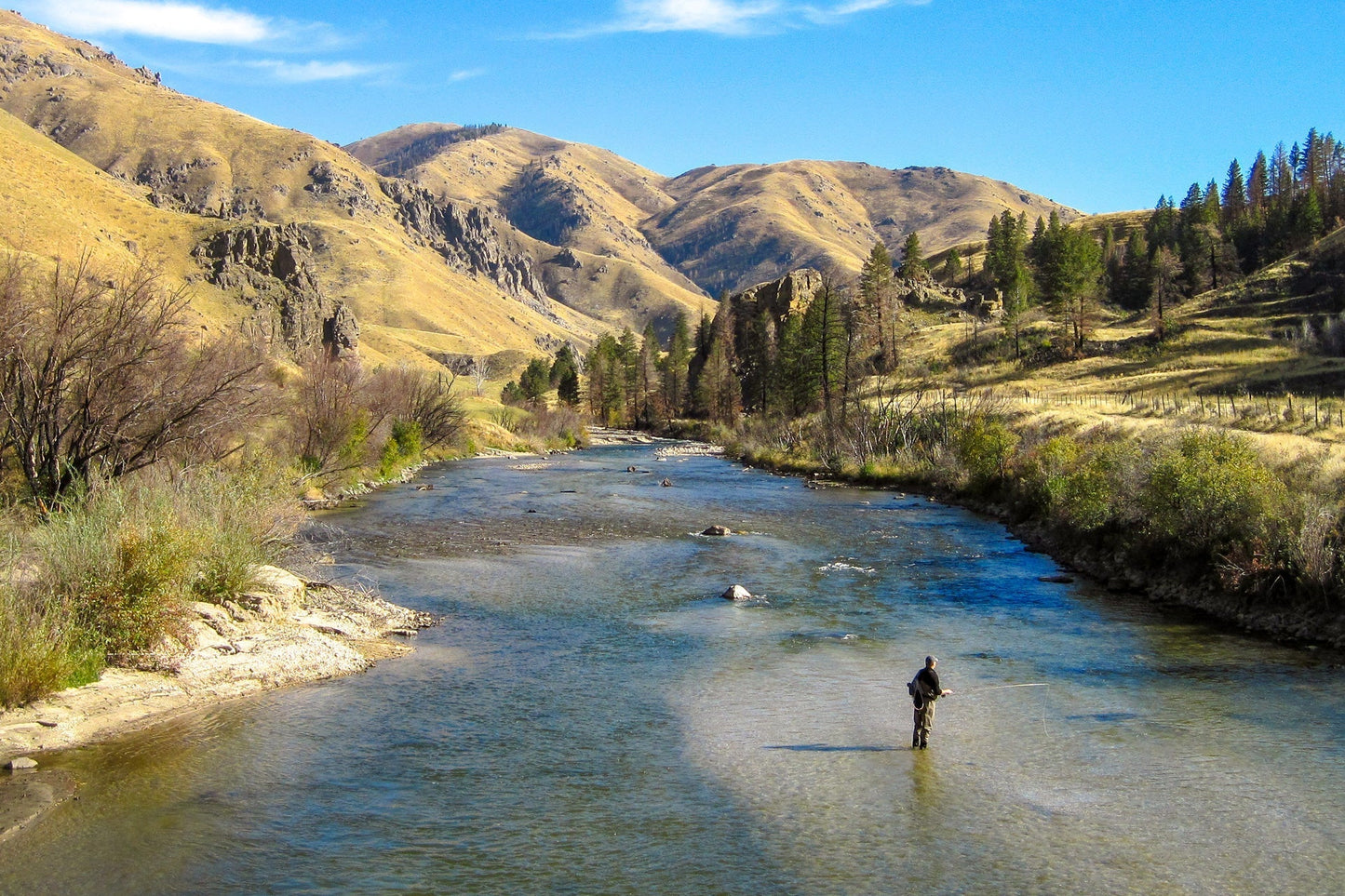 Bead Head Red Zebra Midge Still Water Nymph 1 Dozen Flies Hook Size 18