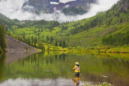 3 Pack Bead Head Black Zebra Midge Still Water Nymph Fly Hook Size 18