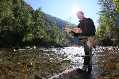 3 Pack Carey Special Soft Hackle Grouse and Peacock Wet Fly - Hook Size 10