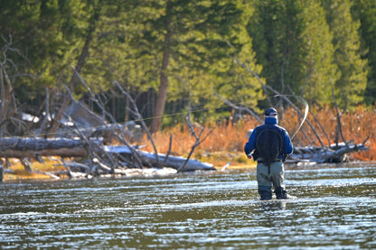 3 Pack Kaufmann's Yellow Crystal Stimulator Rubber Legs Dry Fly - Hook Size 10