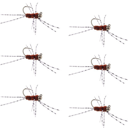 Barbless Pat's Barred Rubber Legs Tungsten Bead Jigged Brown Euro Nymph  - Set of 6 Flies Hook Size 6