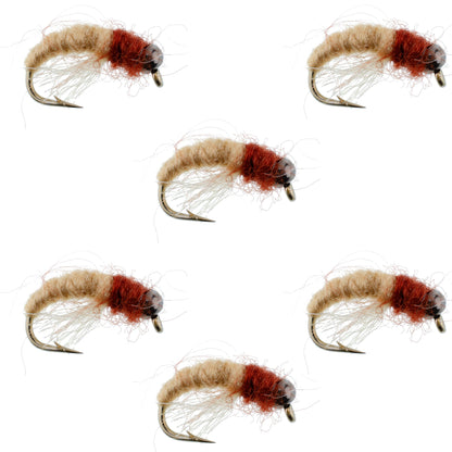 Bead Head Tan Brown Caddis Larva Nymph 6 Flies Hook Size 14