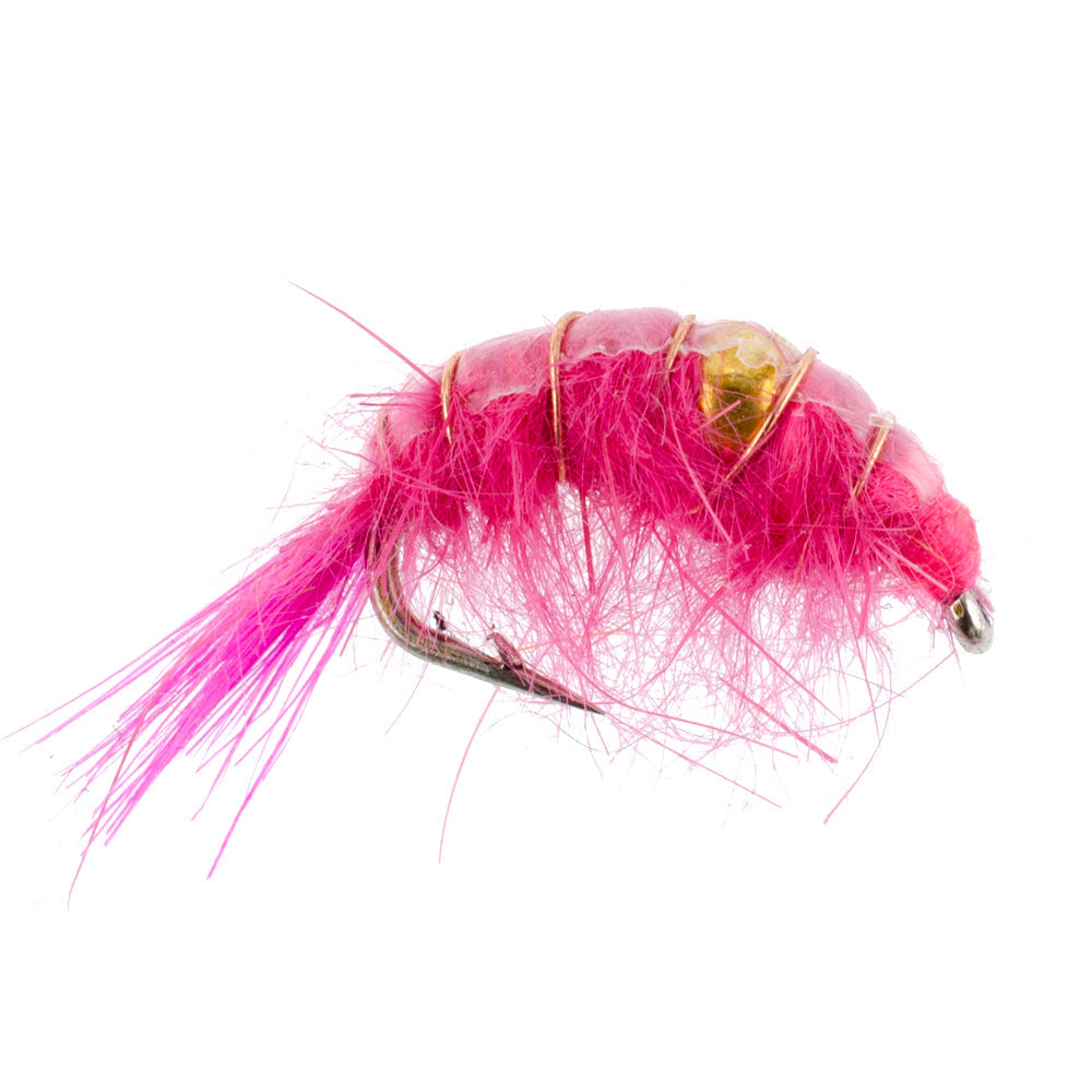 Beaded Shrimp Scud Assortment - 1 Dozen - Size 16 - Tailwater Lake Fly