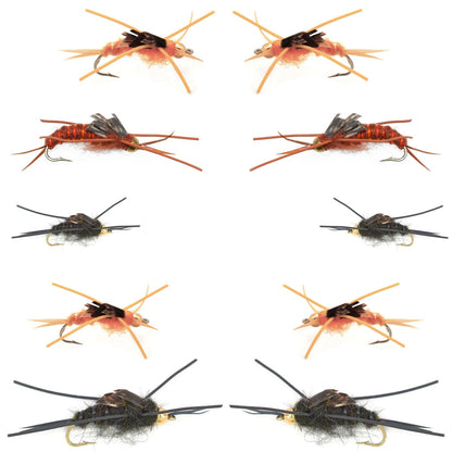 Basics Collection - Kaufmann's Stonefly Nymph Assortment - 10 Bead Head Rubber Legs Wet Flies - 5 Patterns - Hook Sizes 4, 6, 8, 10, and 12