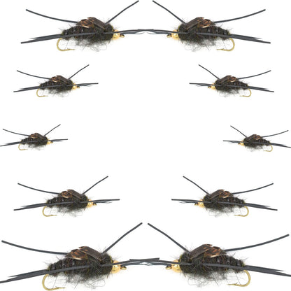 Basics Collection - Kaufmann's Tungsten Bead Black Stonefly Nymph Assortment 10 Bead Head Rubber Legs Wet Flies - 2 Each Hook Sizes 4, 6, 8, 10, and 12