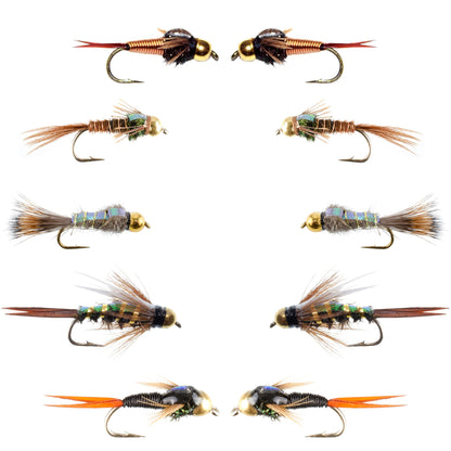 Basics Collection - Copper John and Flash Back Bead Head Nymph Assortment - 10 Wet Flies - 5 Patterns - Hook Sizes 10, 12, 14, 16