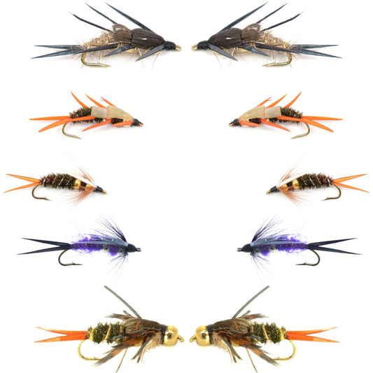 Basics Collection - Double Bead Head Nymph Assortment - 10 Wet Flies - 5 Patterns - Hook Size 8