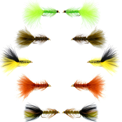 Basics Collection - Crystal Woolly Bugger Assortment - 10 Bead Head Wet Flies - 5 Patterns - Hook Size 8