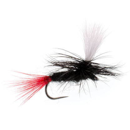 Barbless Parachute Black Gnat Red Tail Dry Fly - 6 Flies - Size 12