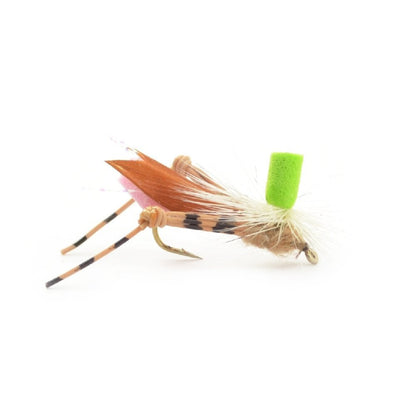 Foam Hopper Fly Fishing Flies Assortment - 12 Flies - 2 Each of 6 Grasshopper Dropper Hopper with Fly Box