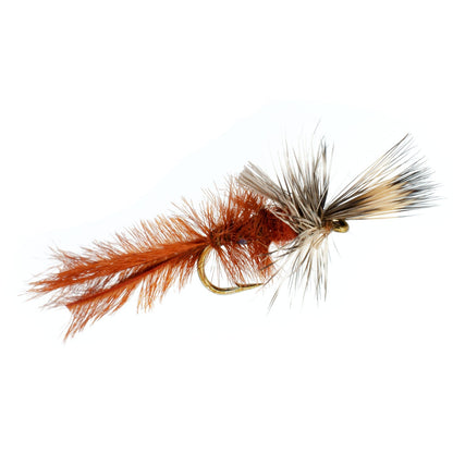 3 Pack Callibaetis Cripple Mayfly  Hook Size 16