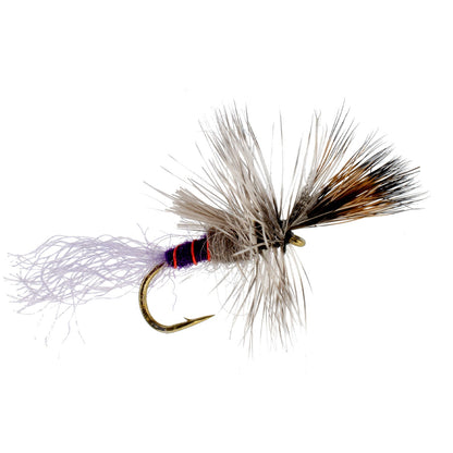 Purple Haze Cripple Mayfly 6 Flies Hook Size 14
