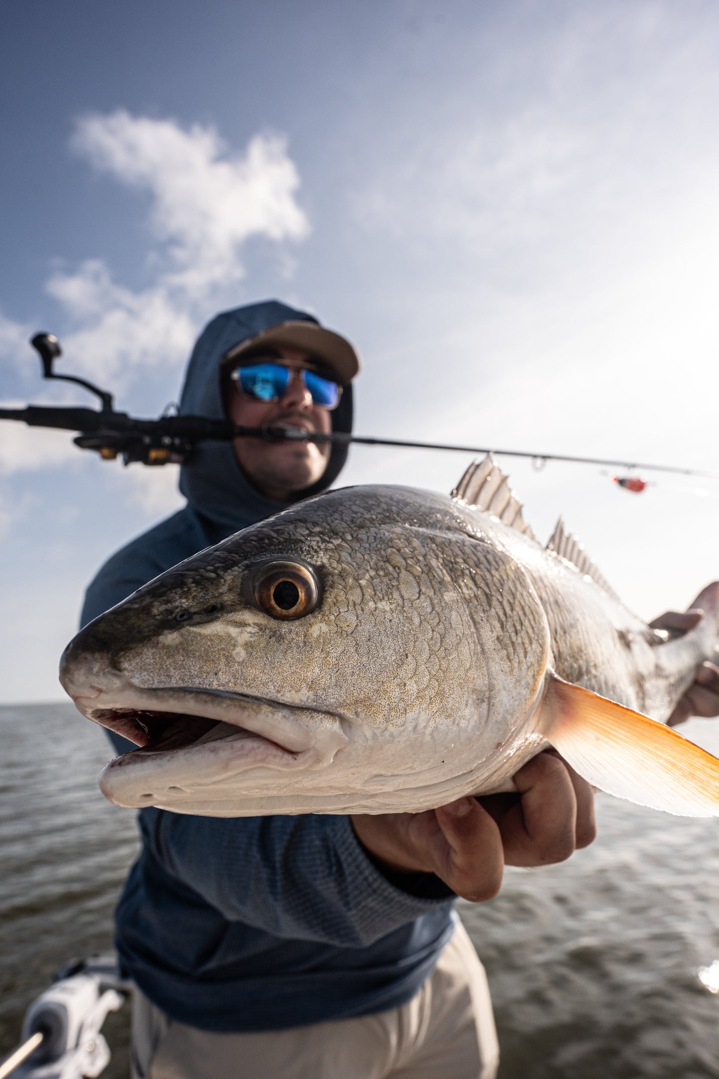 E-2 Series Rod