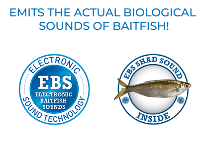 Pro Wake