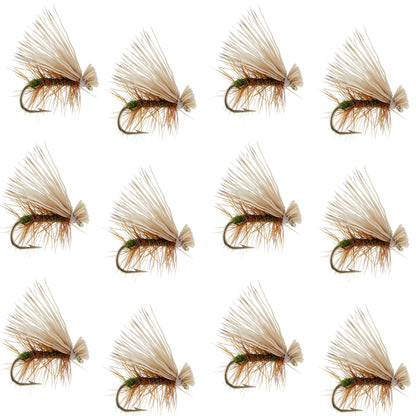 Olive Elk Hair Caddis Classic Trout Dry Fly - Set of 12 Flies Size 12 `