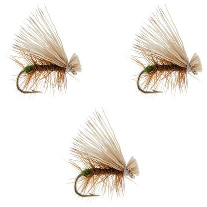 3 Pack Olive Elk Hair Caddis Classic Trout Dry Fly - Hook Size 16
