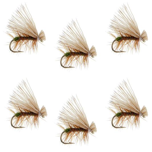 Olive Elk Hair Caddis Classic Trout Dry Fly - Set of 6 Flies Size 16