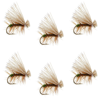 Olive Elk Hair Caddis Classic Trout Dry Fly - Set of 6 Flies Size 14