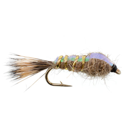 Classic Weighted Flashback Gold Ribbed Hares Ear Nymph - Set of 6 Flies - Size 14