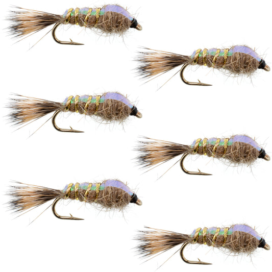 Classic Weighted Flashback Gold Ribbed Hares Ear Nymph - Set of 6 Flies - Size 14