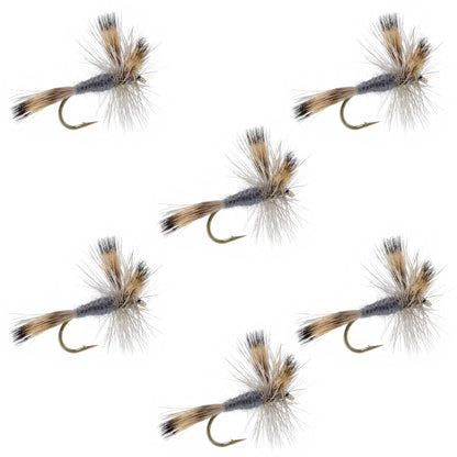 Gray Wulff Classic Trout Dry Fly - 6 Flies Hook Size 10