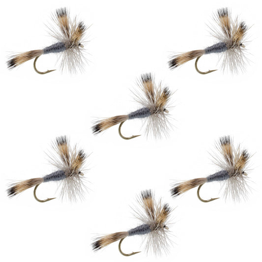 Gray Wulff Classic Trout Dry Fly - 6 Flies Hook Size 8